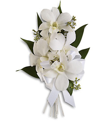Graceful Orchids Corsage from Parkway Florist in Pittsburgh PA